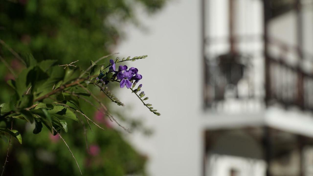 Totelya Hotel Akyaka  Exterior photo